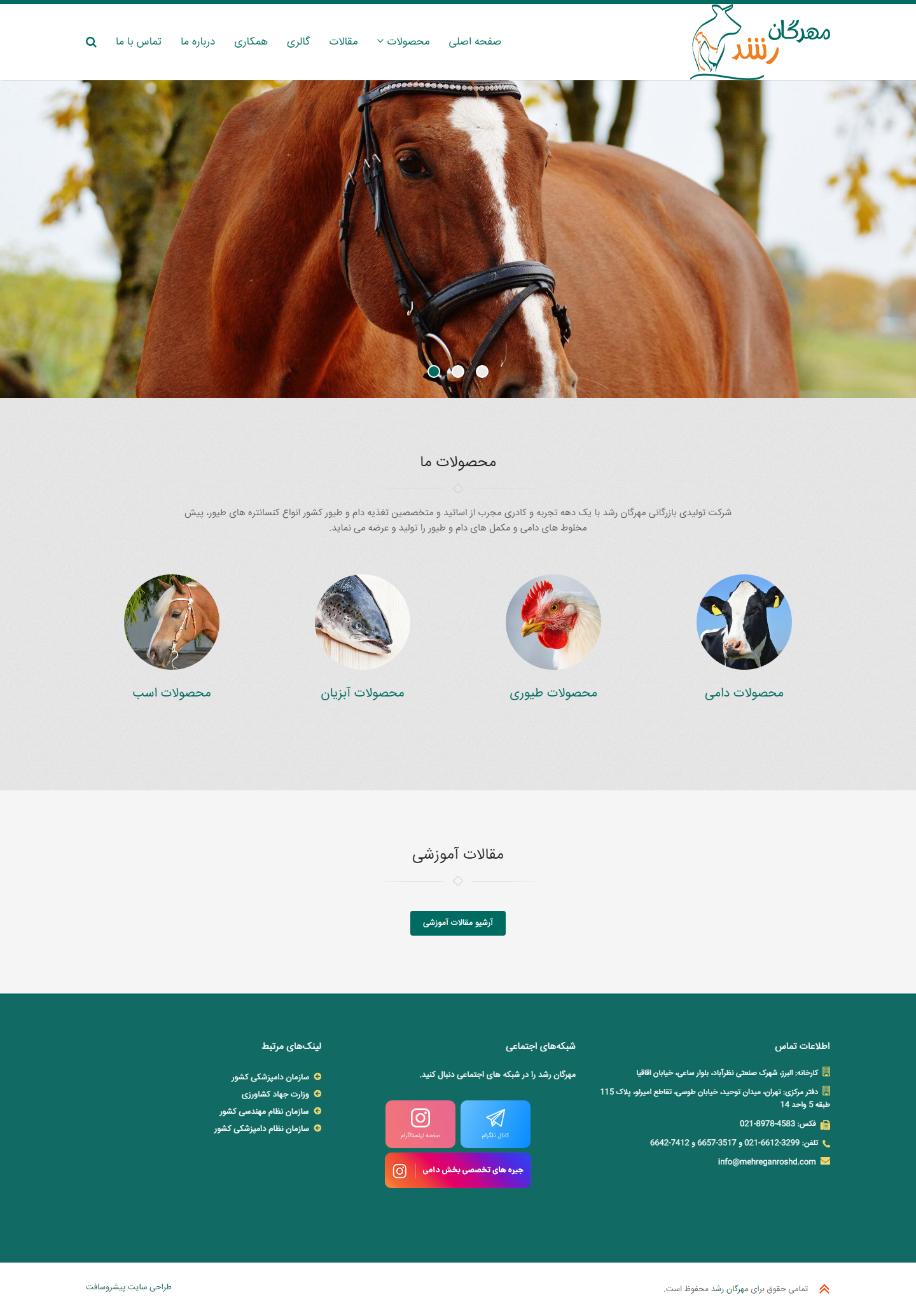 طراحی سایت مهرگان رشد